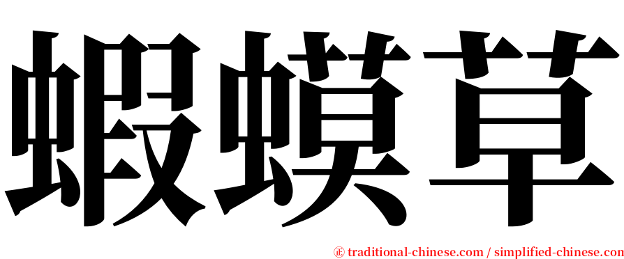 蝦蟆草 serif font