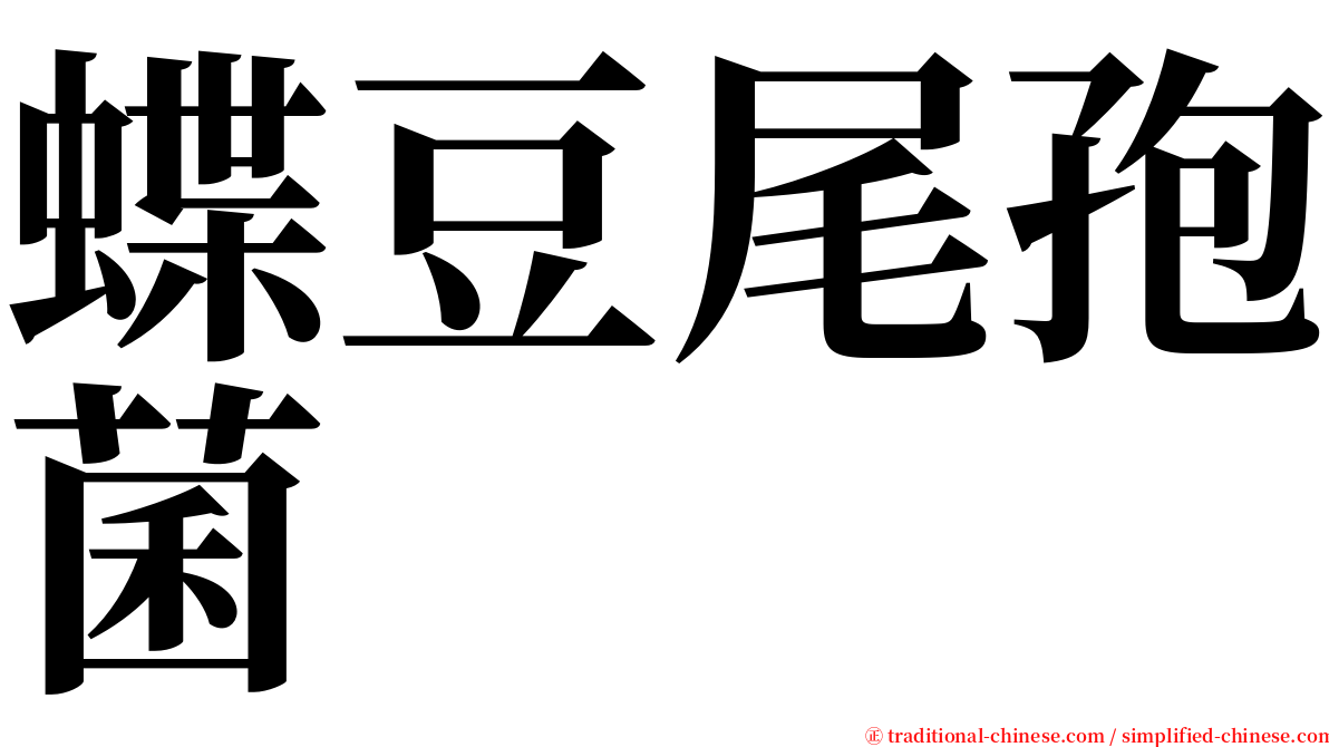 蝶豆尾孢菌 serif font