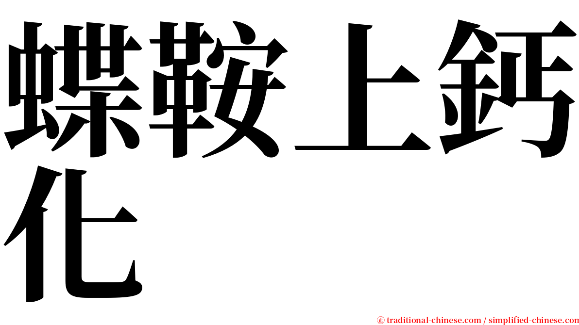 蝶鞍上鈣化 serif font