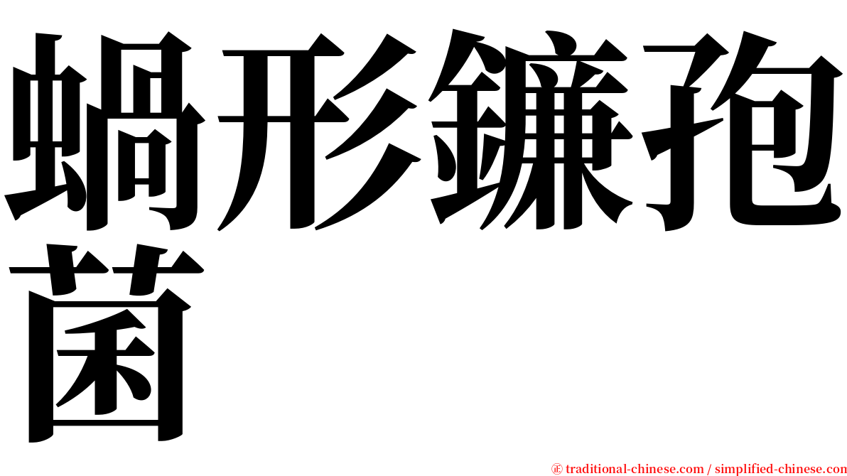 蝸形鐮孢菌 serif font