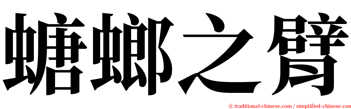 螗螂之臂 serif font