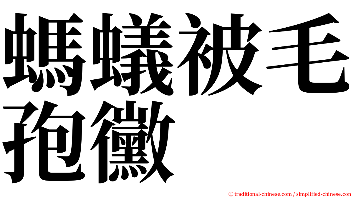 螞蟻被毛孢黴 serif font