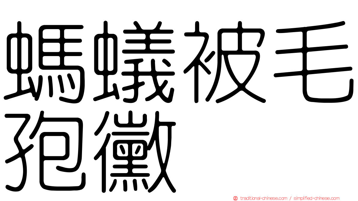 螞蟻被毛孢黴