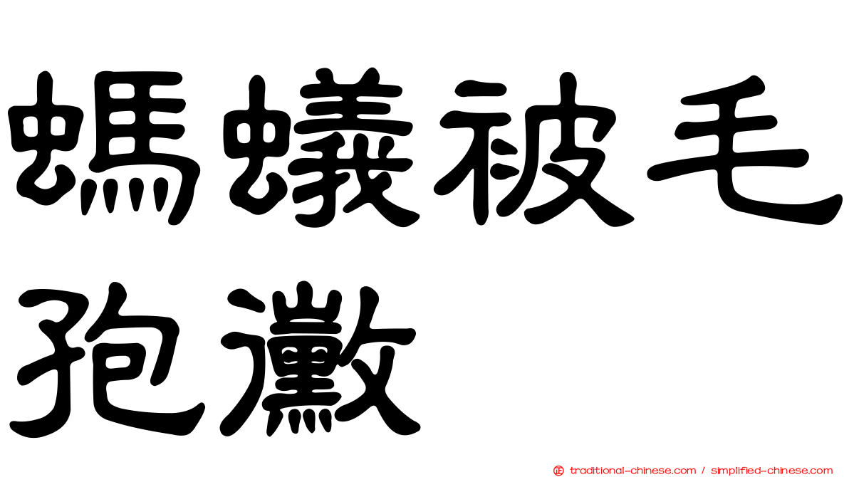 螞蟻被毛孢黴