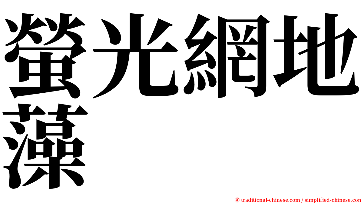 螢光網地藻 serif font