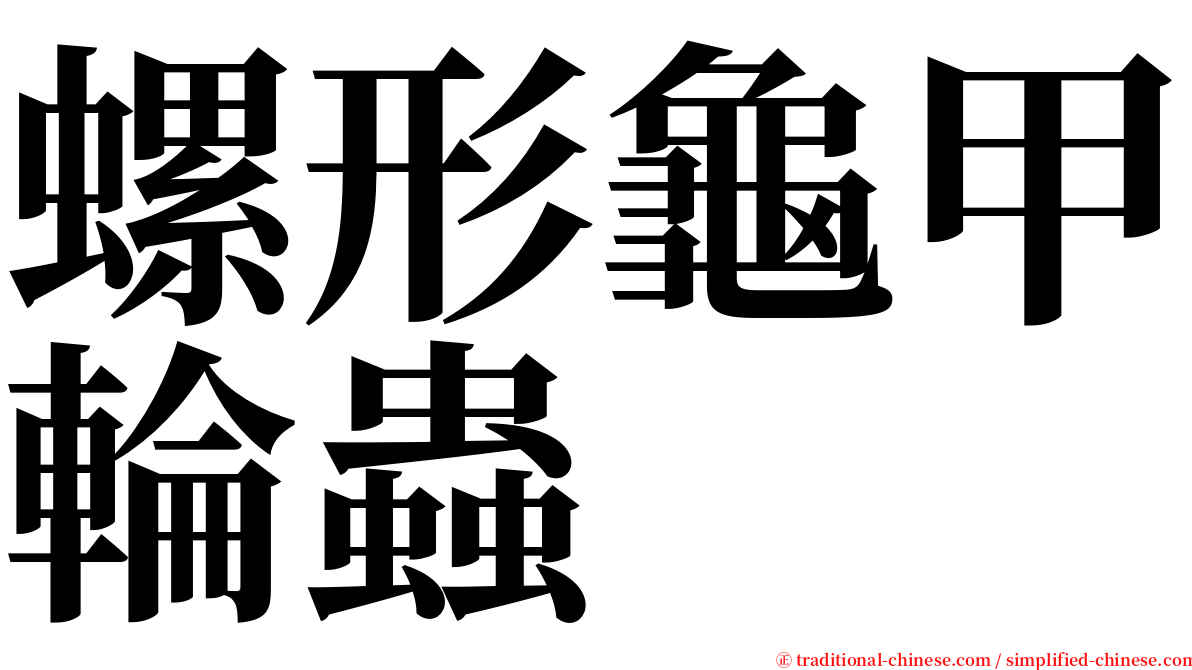 螺形龜甲輪蟲 serif font