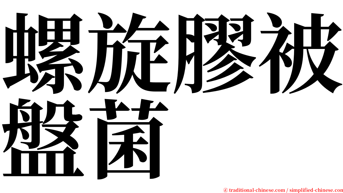 螺旋膠被盤菌 serif font