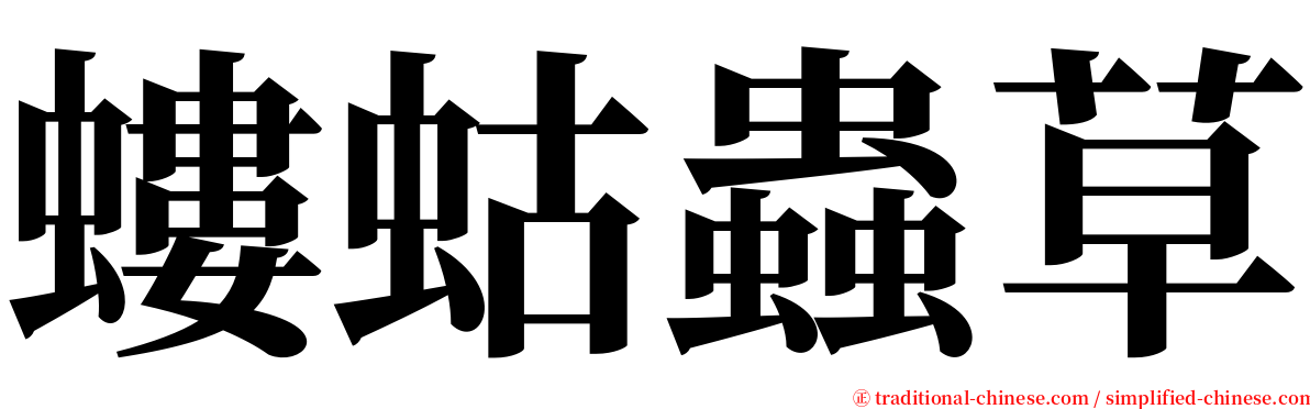螻蛄蟲草 serif font