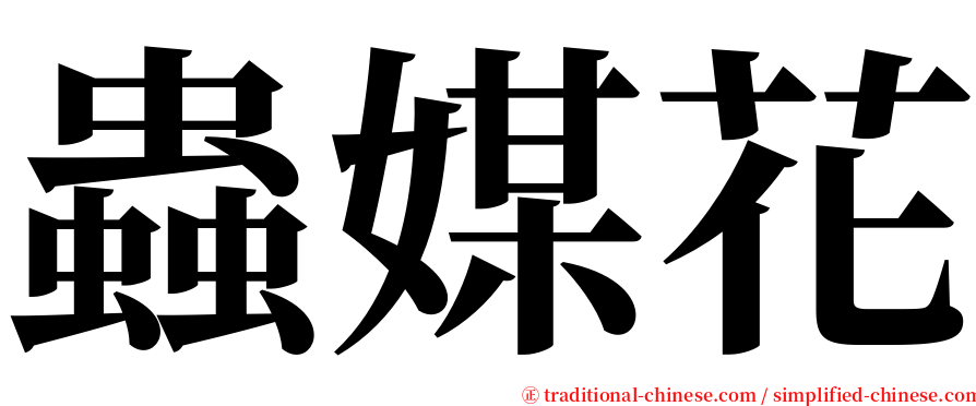 蟲媒花 serif font