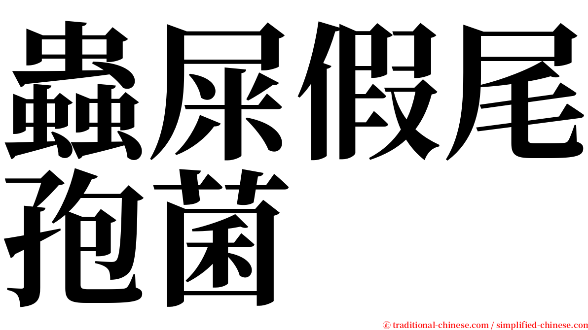 蟲屎假尾孢菌 serif font