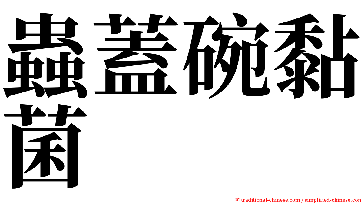 蟲蓋碗黏菌 serif font