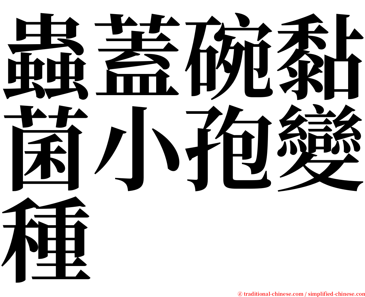 蟲蓋碗黏菌小孢變種 serif font