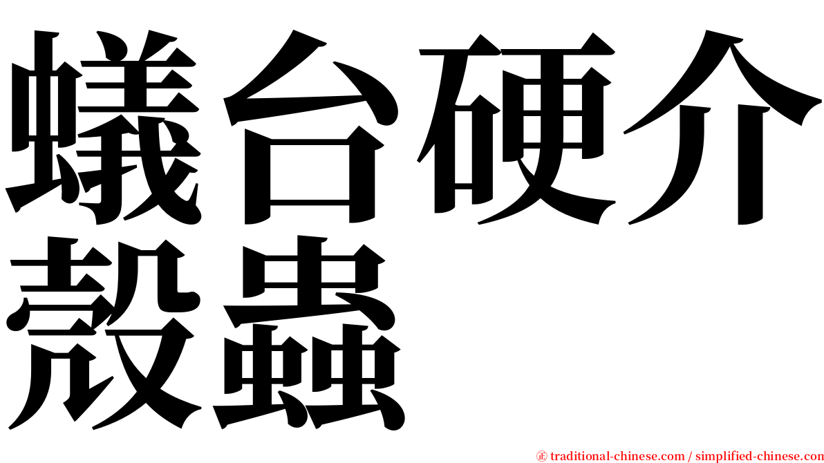 蟻台硬介殼蟲 serif font