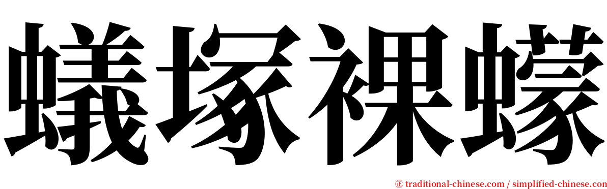 蟻塚裸蠓 serif font