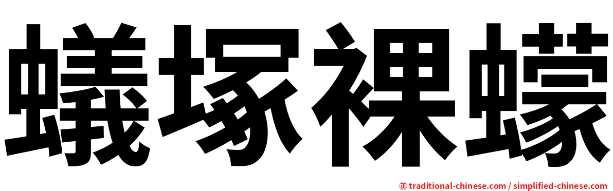 蟻塚裸蠓