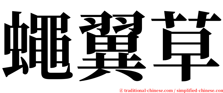 蠅翼草 serif font