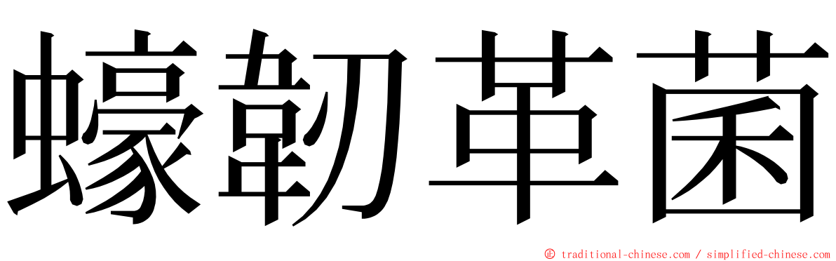 蠔韌革菌 ming font