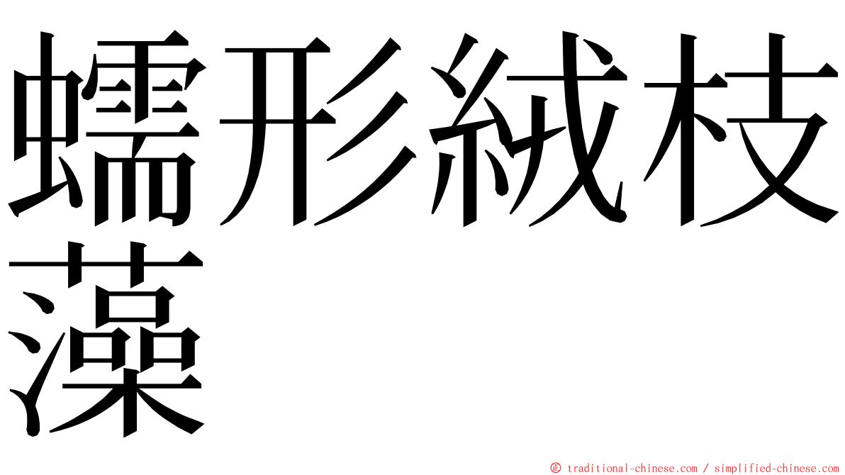 蠕形絨枝藻 ming font