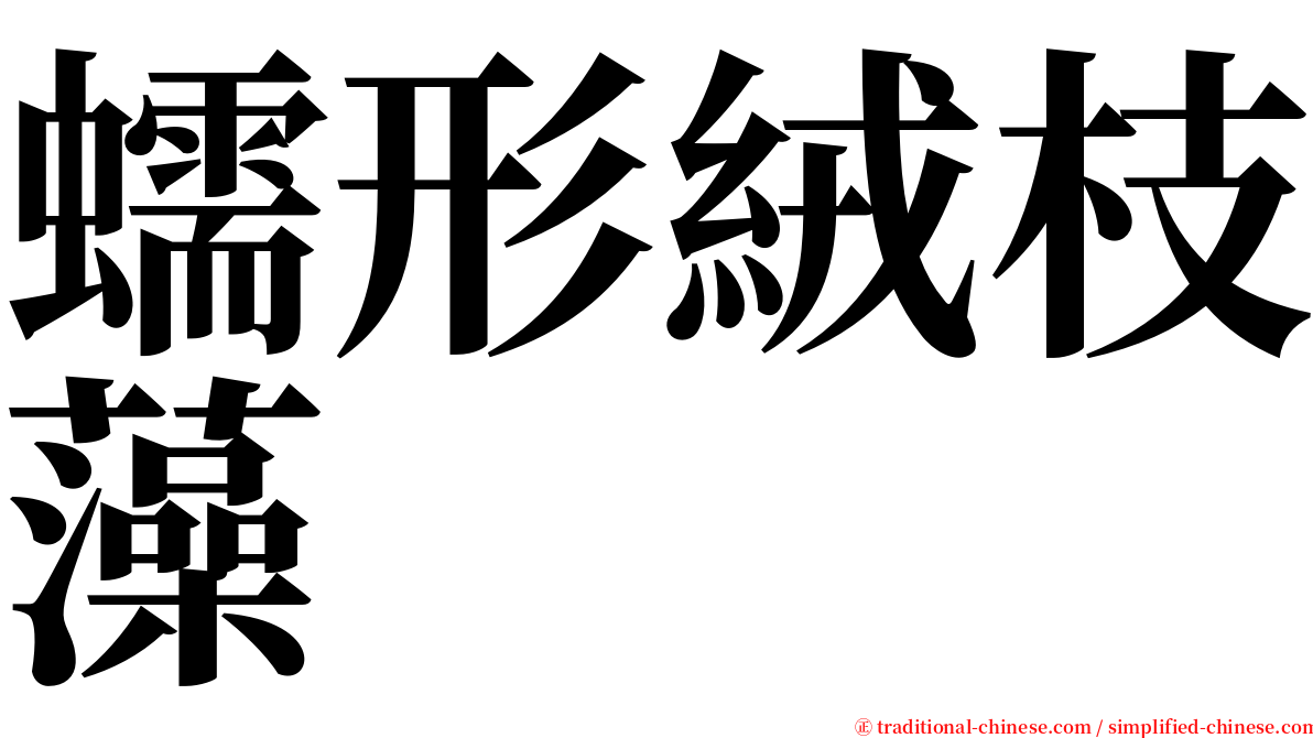 蠕形絨枝藻 serif font