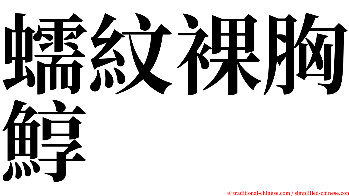 蠕紋裸胸鯙 serif font