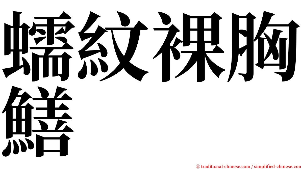 蠕紋裸胸鱔 serif font