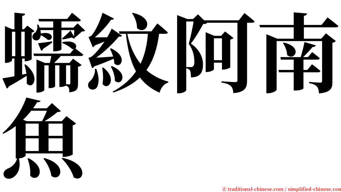 蠕紋阿南魚 serif font