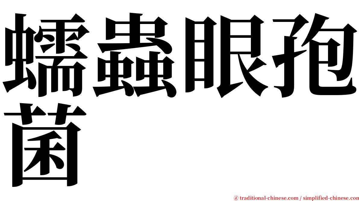 蠕蟲眼孢菌 serif font