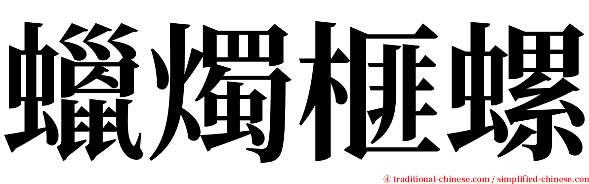 蠟燭榧螺 serif font