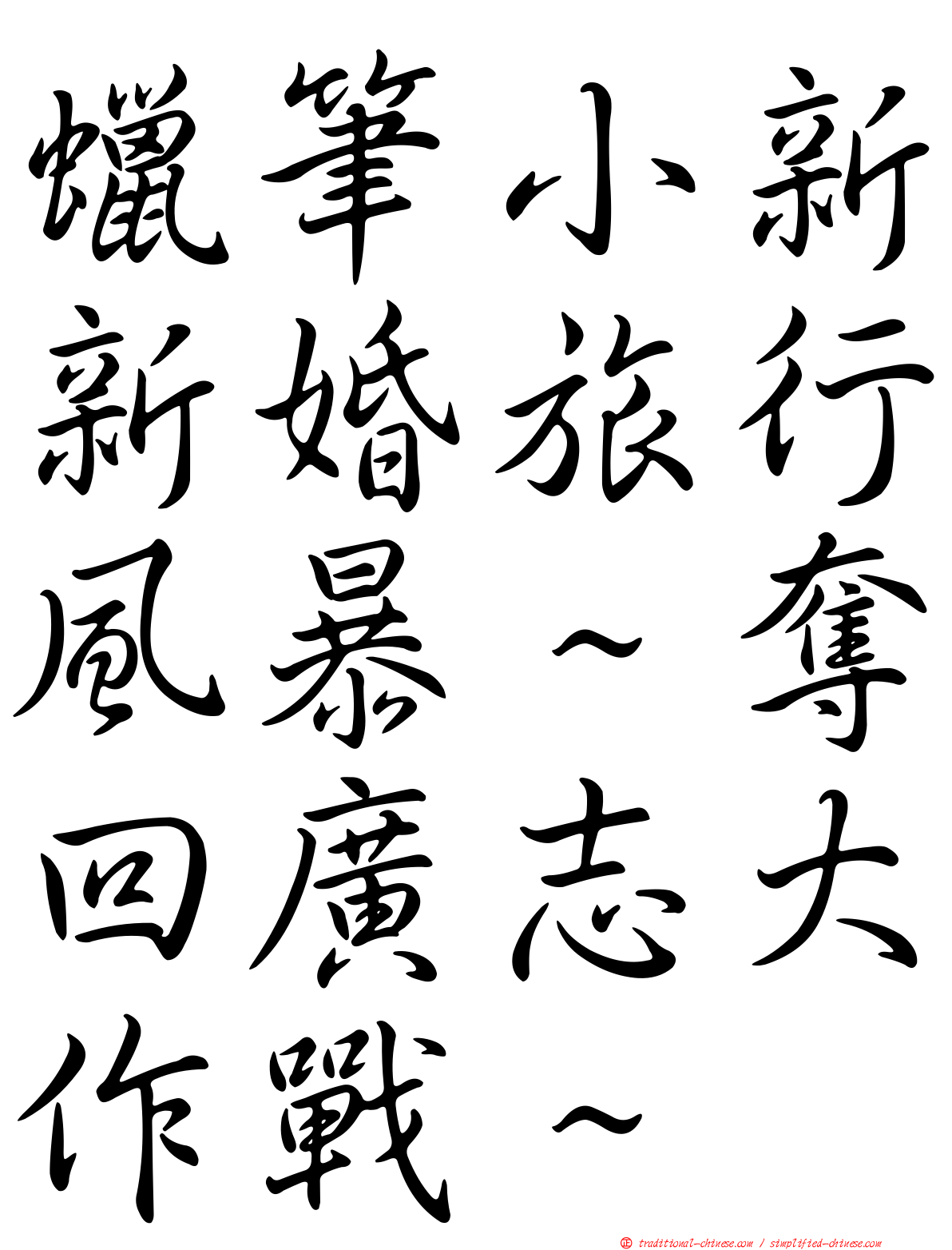 蠟筆小新新婚旅行風暴～奪回廣志大作戰～