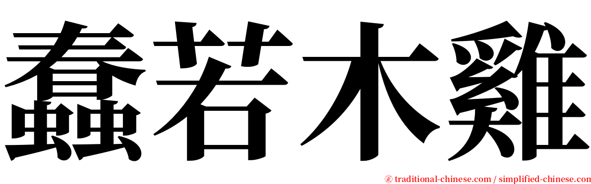 蠢若木雞 serif font