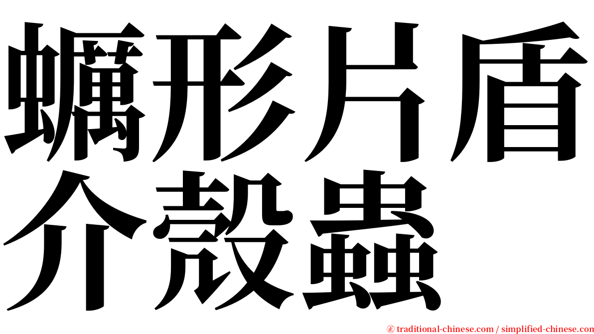 蠣形片盾介殼蟲 serif font