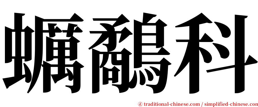 蠣鷸科 serif font