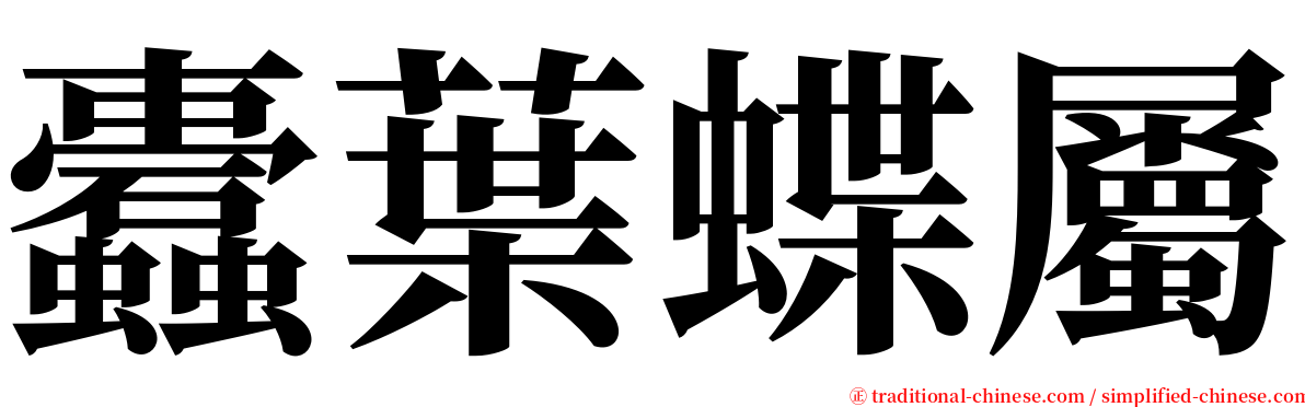 蠹葉蝶屬 serif font