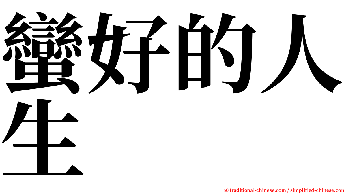 蠻好的人生 serif font