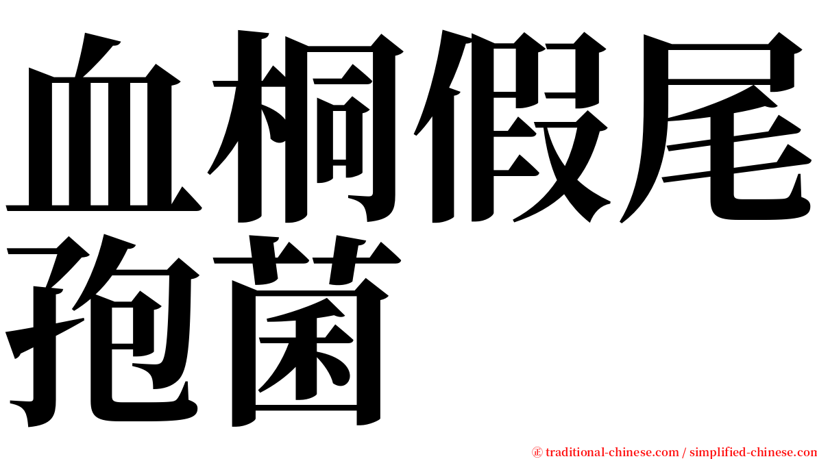 血桐假尾孢菌 serif font