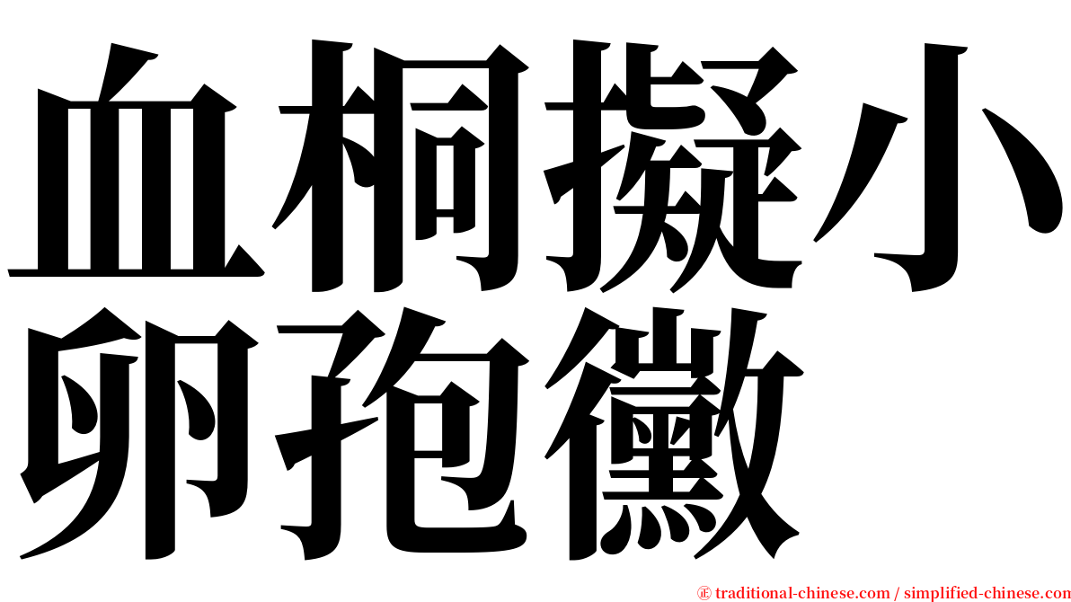 血桐擬小卵孢黴 serif font