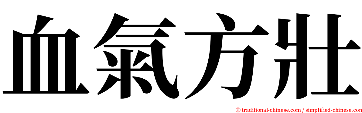 血氣方壯 serif font