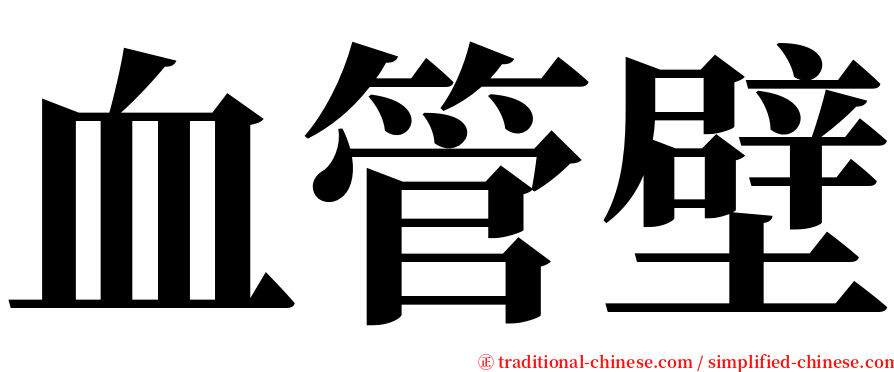 血管壁 serif font