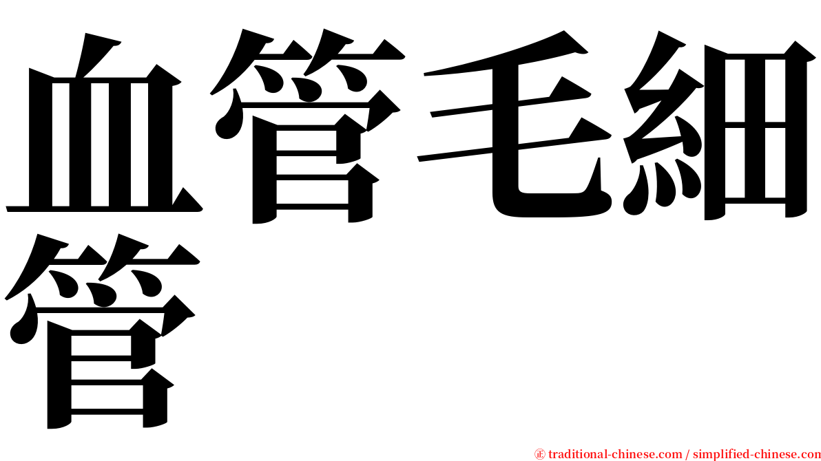 血管毛細管 serif font