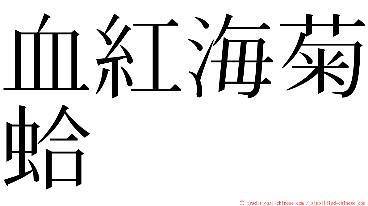 血紅海菊蛤 ming font