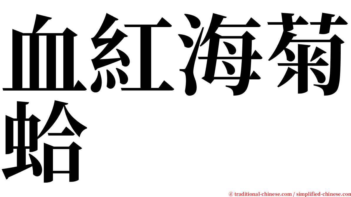 血紅海菊蛤 serif font