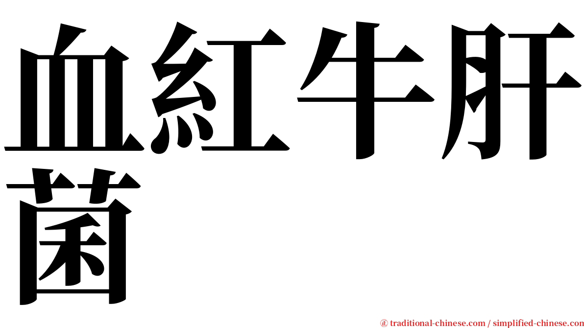 血紅牛肝菌 serif font