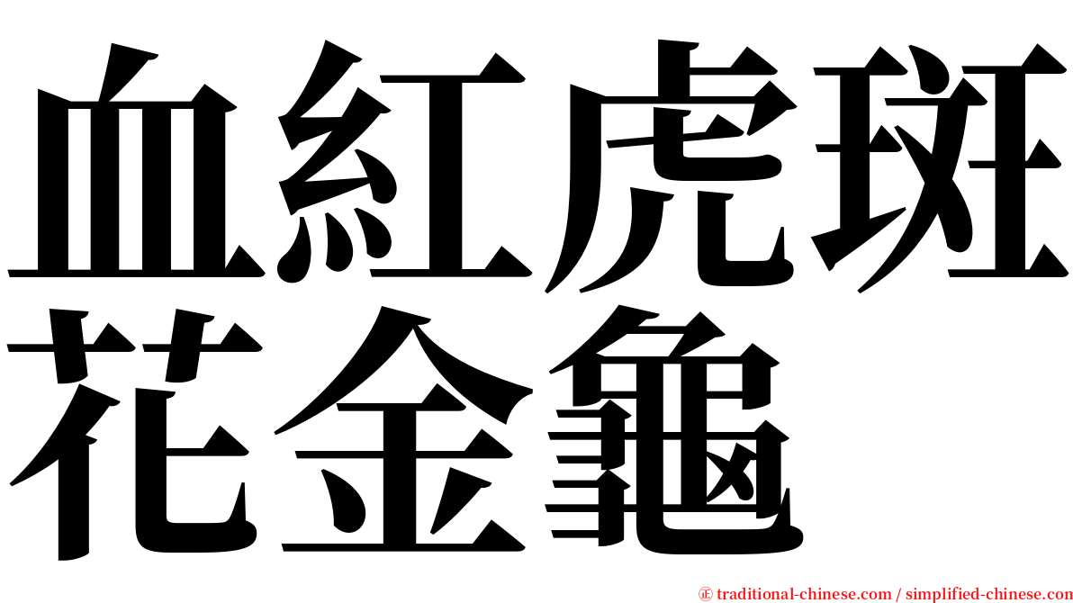 血紅虎斑花金龜 serif font