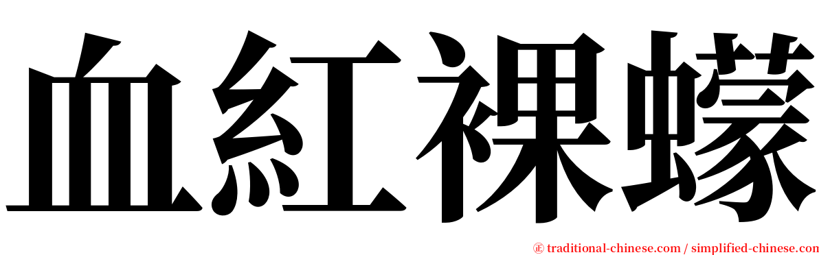 血紅裸蠓 serif font