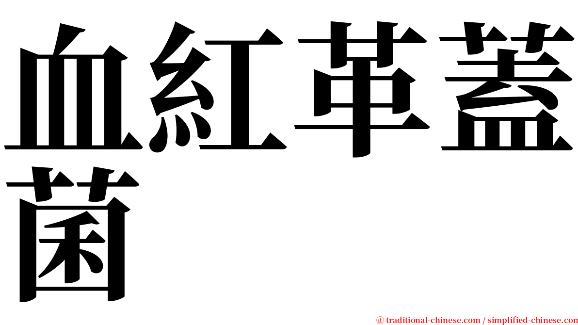 血紅革蓋菌 serif font