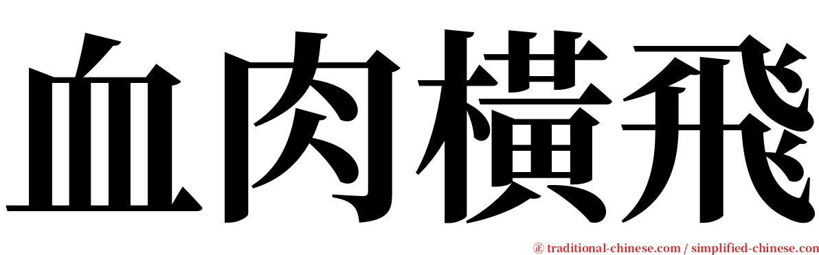 血肉橫飛 serif font