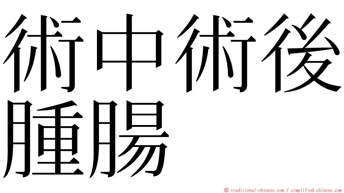 術中術後腫腸 ming font