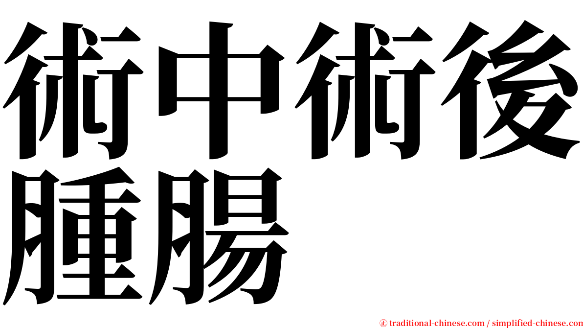 術中術後腫腸 serif font