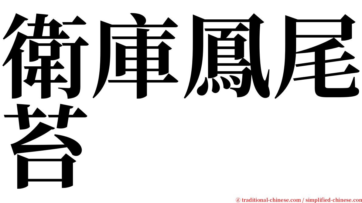 衛庫鳳尾苔 serif font