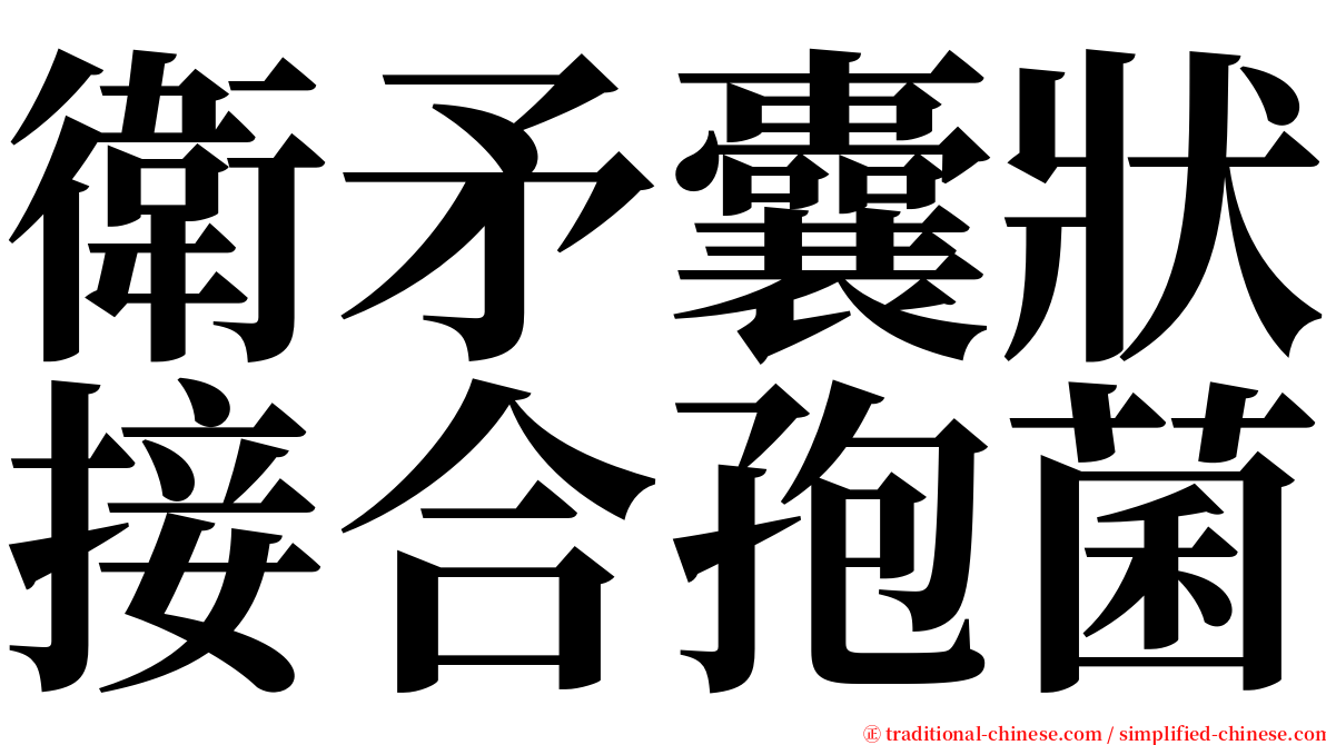 衛矛囊狀接合孢菌 serif font